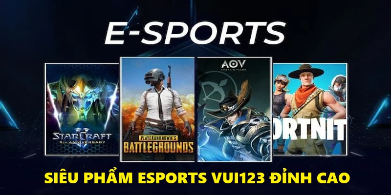 Vui123 - Sân chơi Esport đẳng cấp